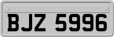 BJZ5996