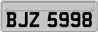 BJZ5998