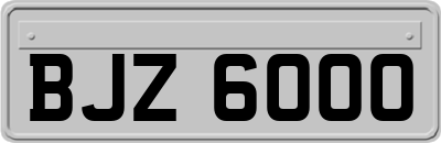 BJZ6000