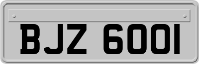 BJZ6001