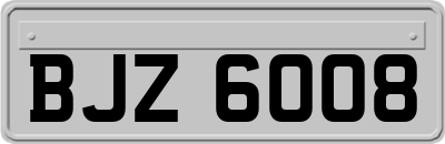 BJZ6008