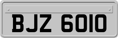 BJZ6010