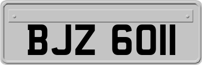 BJZ6011