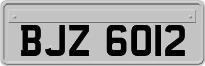 BJZ6012