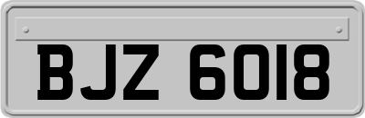 BJZ6018