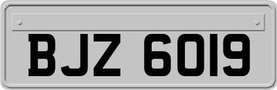 BJZ6019