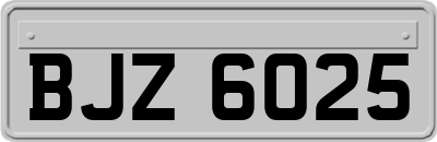 BJZ6025