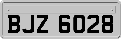 BJZ6028