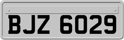 BJZ6029