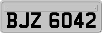 BJZ6042
