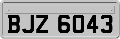 BJZ6043