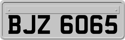 BJZ6065