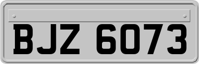 BJZ6073