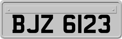 BJZ6123