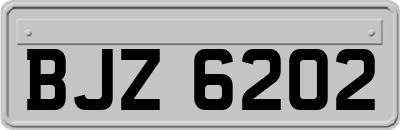 BJZ6202