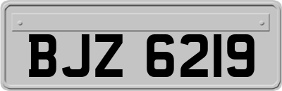 BJZ6219