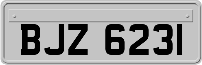 BJZ6231