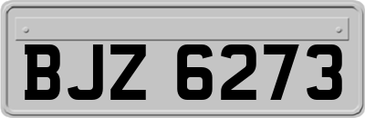 BJZ6273