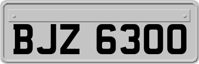 BJZ6300