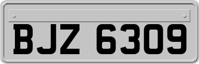 BJZ6309