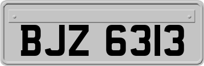 BJZ6313
