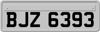 BJZ6393