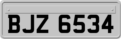 BJZ6534