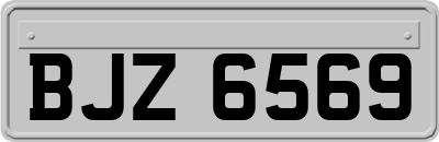 BJZ6569