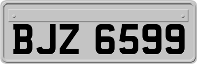 BJZ6599