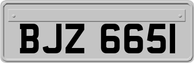 BJZ6651