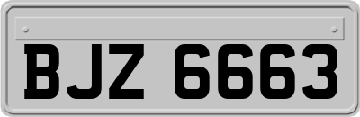 BJZ6663
