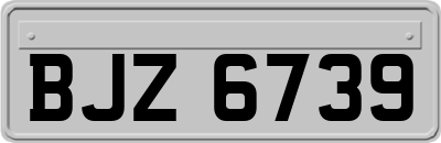 BJZ6739