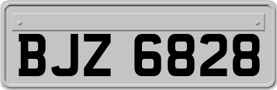 BJZ6828
