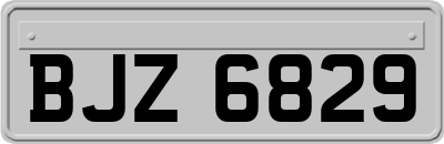 BJZ6829