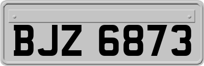 BJZ6873