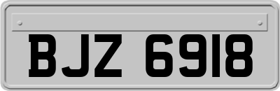 BJZ6918