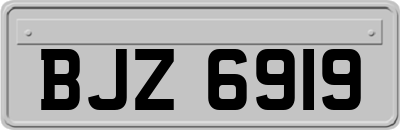 BJZ6919