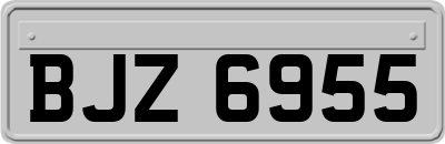BJZ6955
