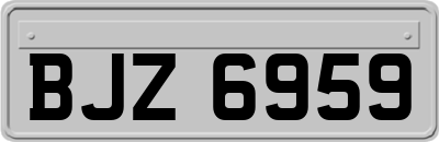 BJZ6959