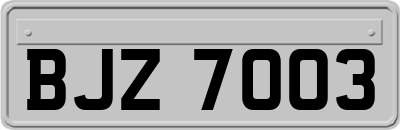 BJZ7003