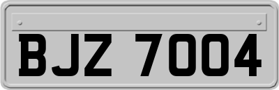 BJZ7004