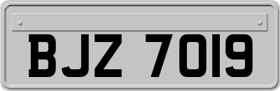 BJZ7019