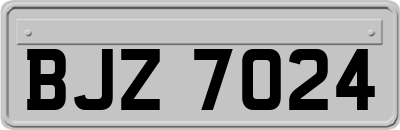 BJZ7024