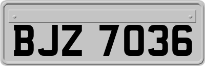 BJZ7036