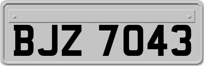 BJZ7043