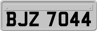 BJZ7044