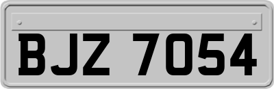 BJZ7054