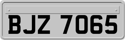 BJZ7065