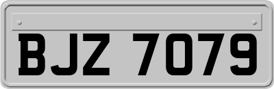 BJZ7079