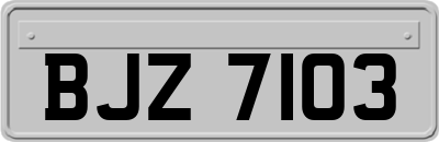 BJZ7103